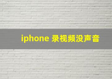 iphone 录视频没声音